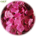 wholesale Dried Fruit  Freeze  Dry Red heart pitaya Customized Packaging